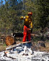 Los Padres National Forest controlled burns
