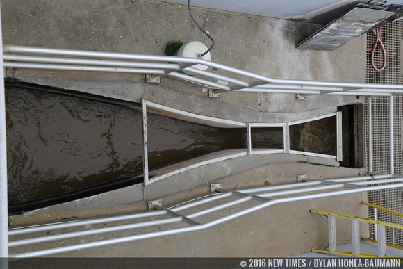 Raw sewage streaming into the plant.