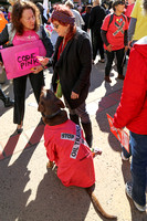JB Bates and her dog, Shijokingo, protest the Phillips 66 project.