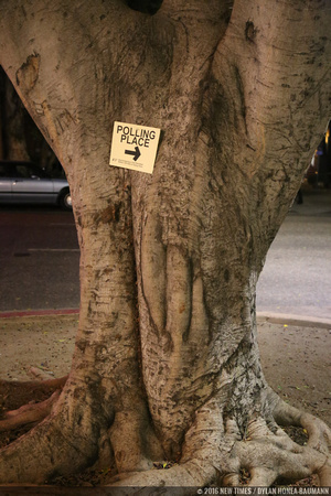 A sign on a tree points the way to the county offices in downtown SLO.